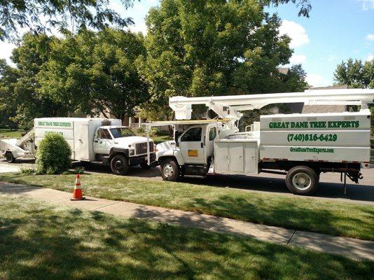 Tree Pruning / Tree Trimming, Tree Removal and Stump Grinding in Dublin, Ohio