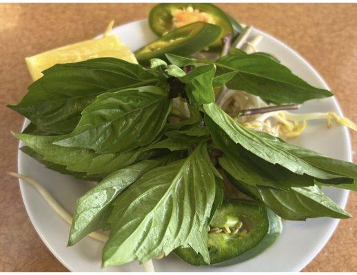 Pho toppings Basil, jalapeños , sprouts