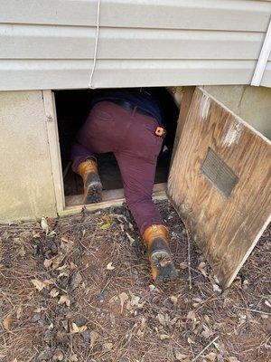 Various pictures from inspections from rooftops To crawl space. We've got you covered.