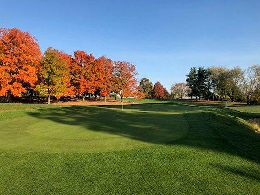 Hole #11 in the Fall!