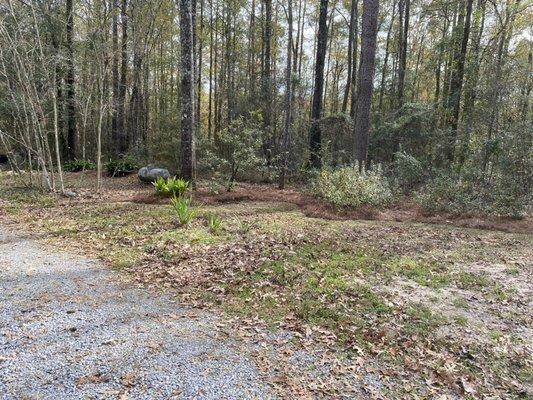 Natural bed edging with mulching and plant and tree pruning.