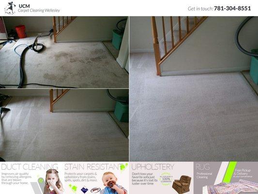 Carpet Stain Removal Wellesley