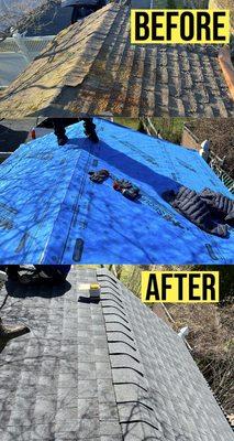 Shed roof replacement