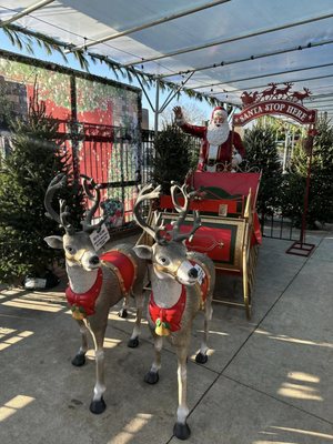 Take a photo with Santa's sleigh and reindeers.