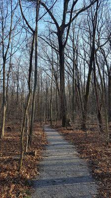 Edison Woods MetroPark