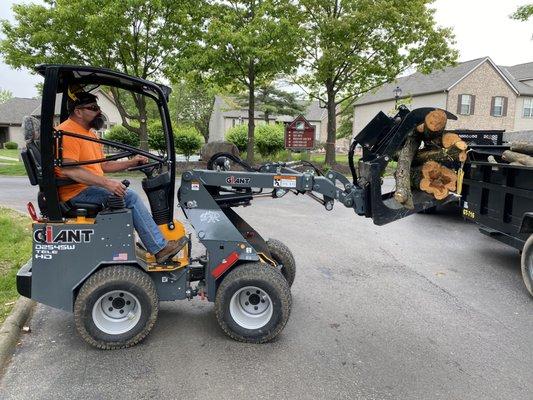 Residential tree work with the Giant D254SW Tele HD.