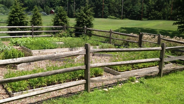 We can add color & texture to your containers and planting beds, transforming your property for any season.