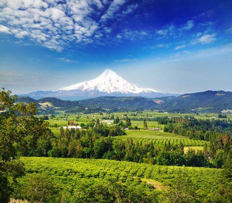 Beautiful Mt Hood and the Hood River Valley