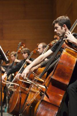 Members of the Spoleto Festival USA Orchestra Photo by Julia Lynn