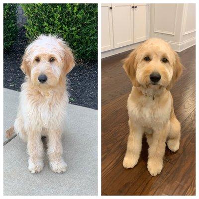 Before and after full groom