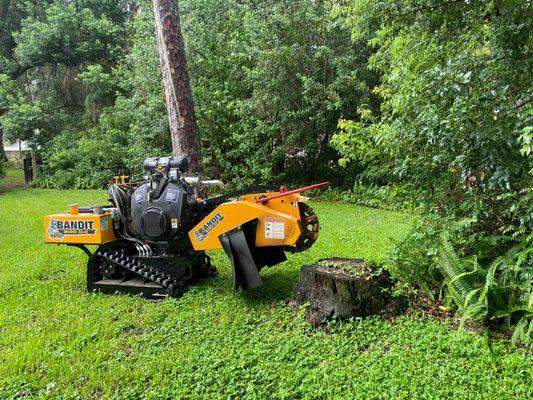 Rise N Grind stump Removal