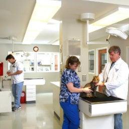 Animal Medical Care facility.