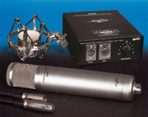 Our mic of choice. The Apex 460 Multi-Pattern Large Condenser Tube Mic!