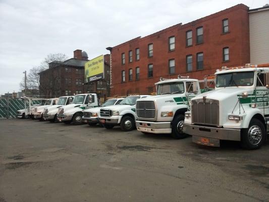 Row of tow trucks