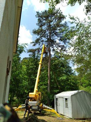 Stanley Tree and Landscaping