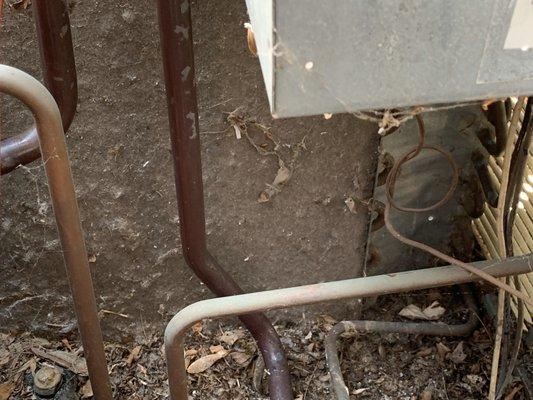 Cobwebs, debris, leaves all turning to mulch. It takes over a year for that to happen