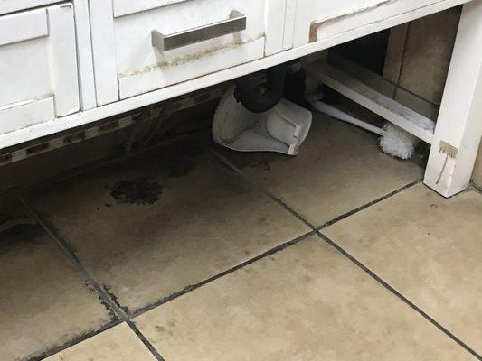 Filth under the sink and a dirty toilet brush on the floor