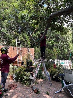 Crew using my ladder w/o permission.