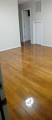 Refinished floors