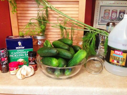 Check out those cukes and dill!