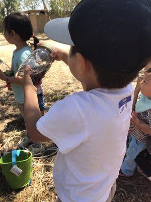 Shaking his nature 'potion'