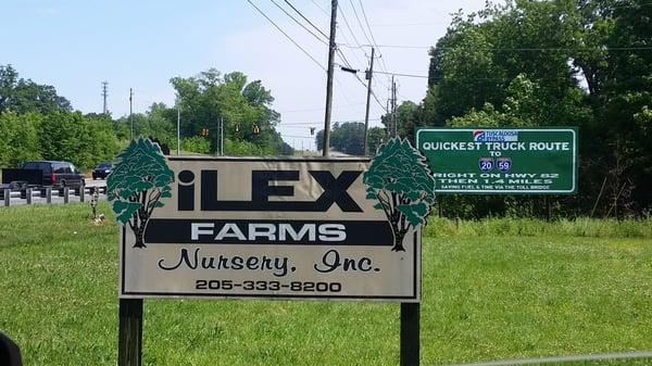 Ilex Farm Nursery