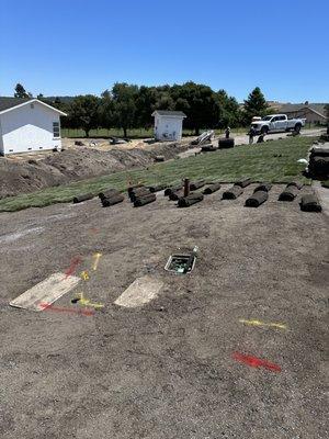 Huge Sod Install