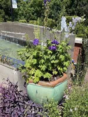 Flowers and fountain