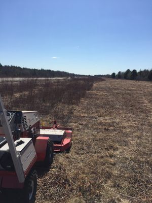 Ventrac 4500z Brush Mowing