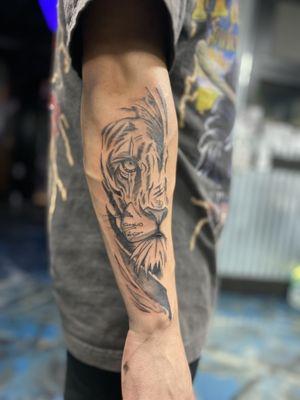 Lion, black and grey