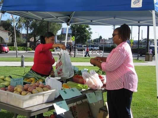 epicc farmstand