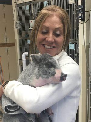 Dr. Margie Alvarez-Woodson and a small Porcine patient