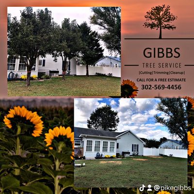 Gibbs Tree Service