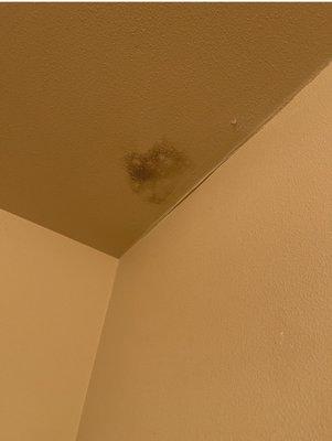 Mold in bathroom celliing this is the second time it has appeared in two months.