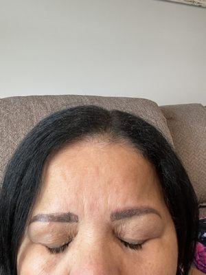 2nd Brow appointment. Light and dark shading.