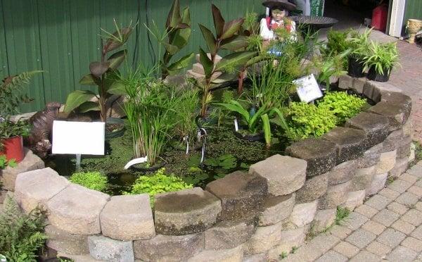 Pond supplies & water plants at Prestige Landscaping LLC.