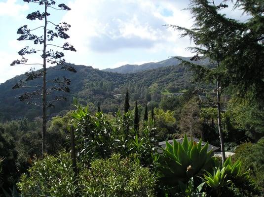 Verdugo Mountain La Crescenta