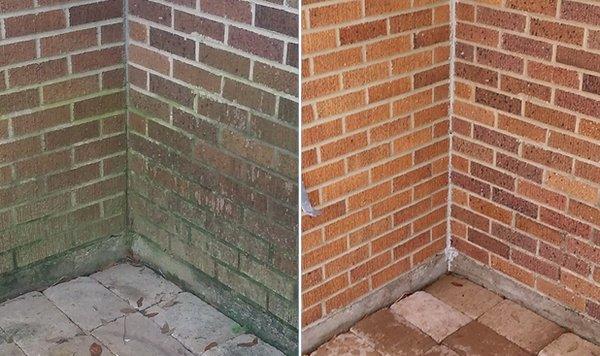 Before & After Brick Cleaning