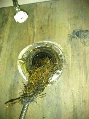 Cutting and removing #roots from  sewer #drain