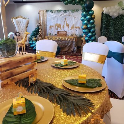 Safari Themed Baby Shower