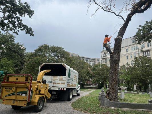 Perez Tree Service