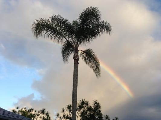 Hilo Downtown Improvement Association