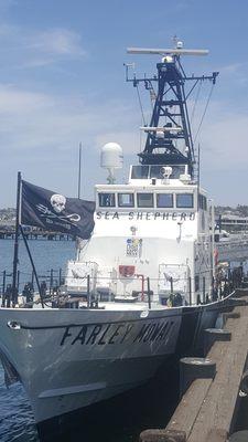 they will be docked at the Embarcadaro San Diego Bay on weekends throughout July