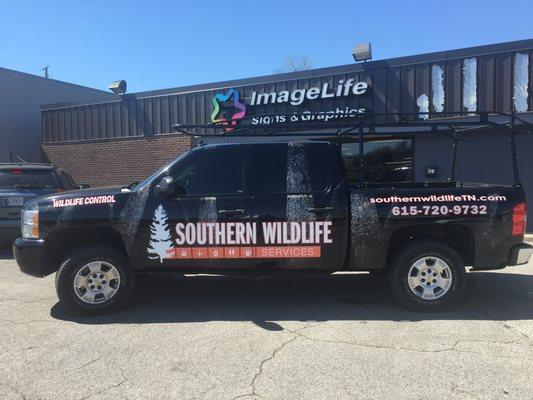 Vehicle Wraps & Fleet Graphics