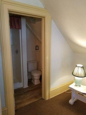 Bathroom in the wicker room