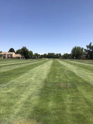 Hole 2 fairway