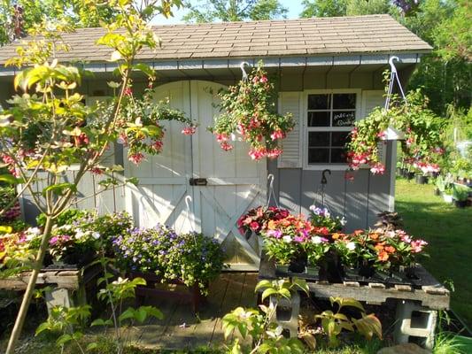 Ashford Garden Center's barn.