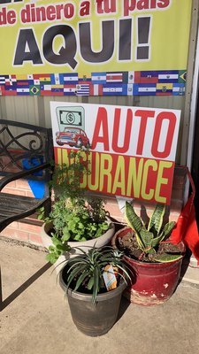 auto insurance