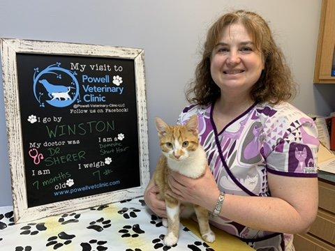 Powell Vet Clinic is a locally owned full-service veterinary office and hospital that has been caring for your pets since 1982.