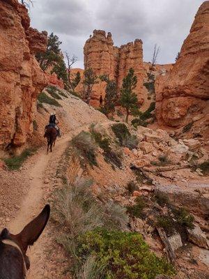 Beautiful trip to the bottom of the canyon!